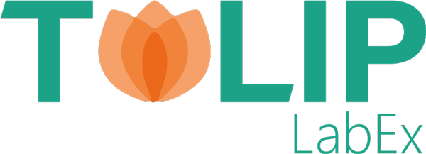 Logo_TULIP_LabEx.png