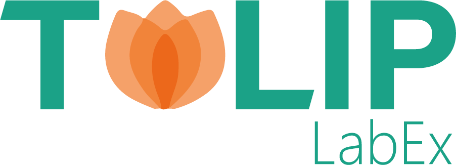 Logo_TULIP_LabEx.png